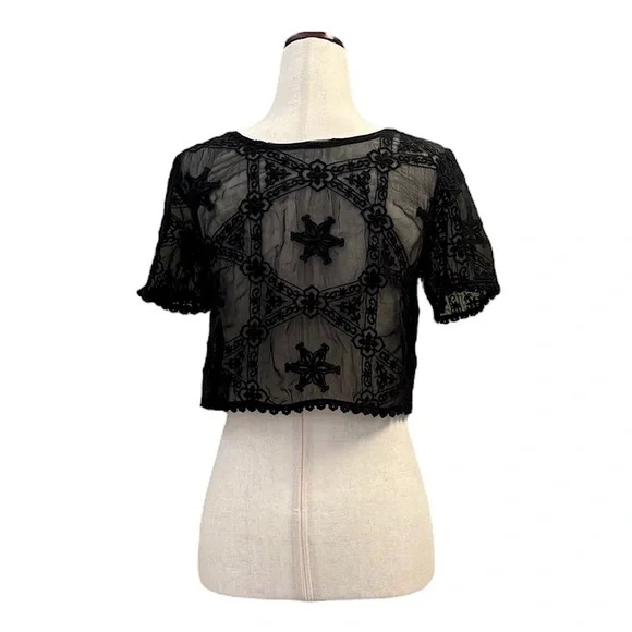 Forever 21 Sheer Black Embroidered Crop Top/ Goth, Witchcore, Royalcore /Small - Picture 2 of 5